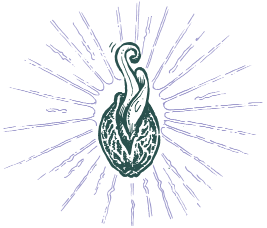 เมล็ดพันธุ์